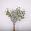 28 po. Fumée eucalyptus 28 po. Spring Summer