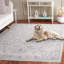 Tapis oriental Eradu Performance-225292707