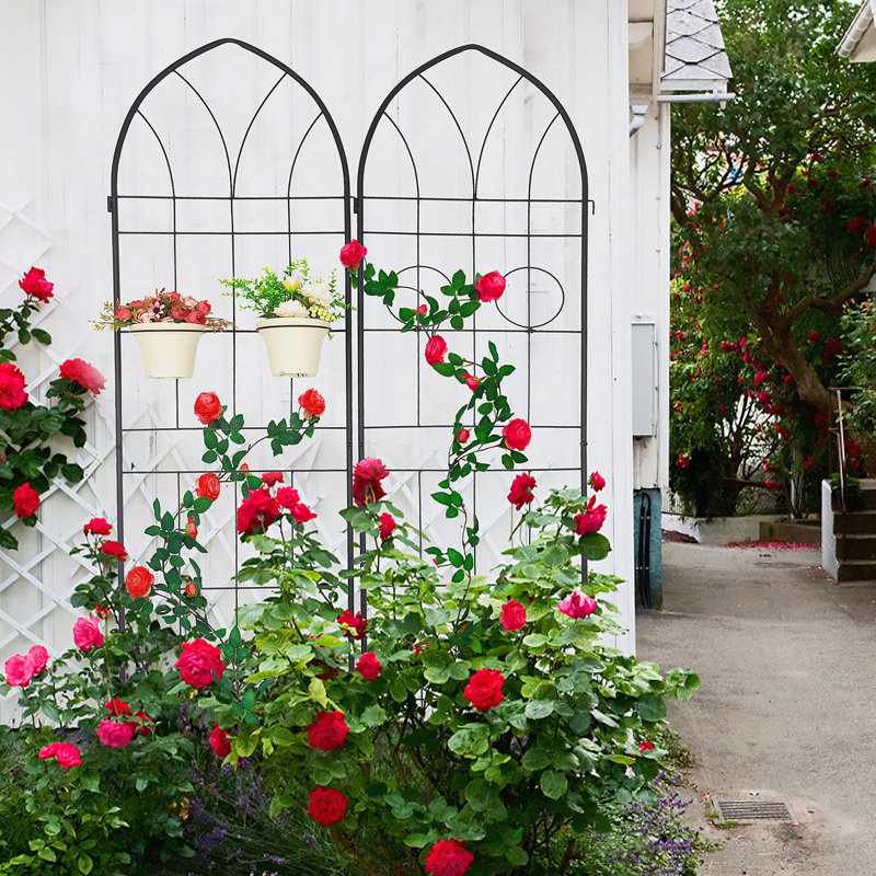 Treillis polyvalent en métal pour les plantes d'extérieur, rehaussant la beauté du jardin