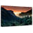 Harnek Forest Last Light-107710779