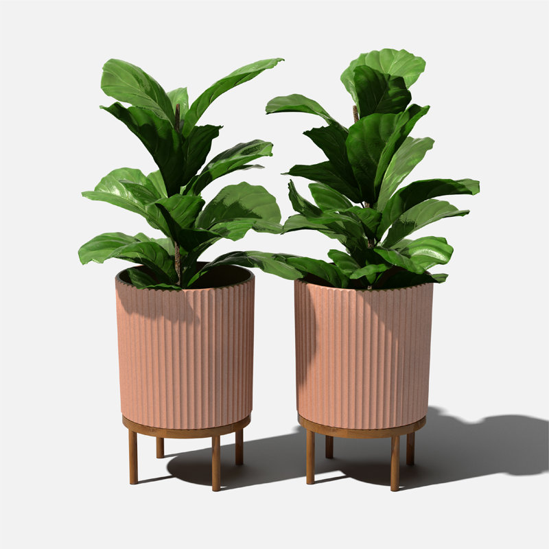 Terracotta and Brown Plastic-Concrete Planter Set with Acacia Wood Stand