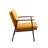 Fabric Upholstered Accent Armchair With Metal Frame And Wooden Armrests-119338415