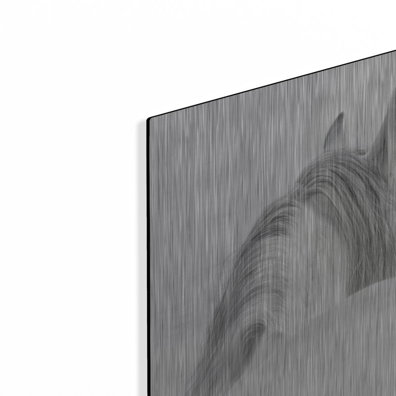 «White Horse» par PhotoINC Studio, H 12 po x l 16 po