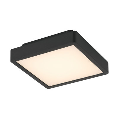 Patrol Q Ceiling Mount, 15W, Black Finish