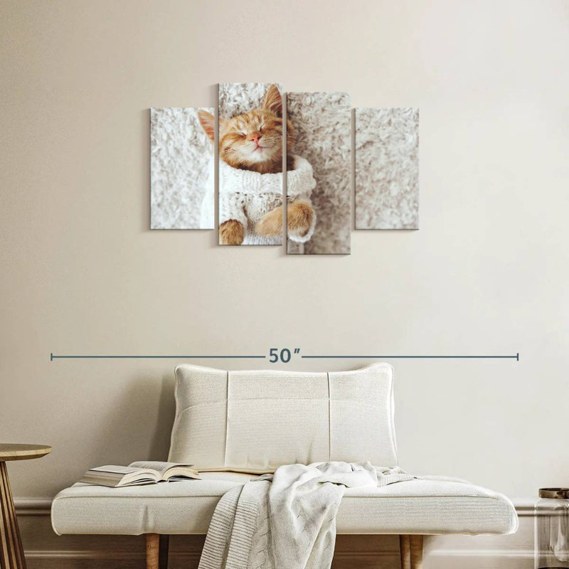 Chat Brampt dans un chandail, H 22 po x l 36 po