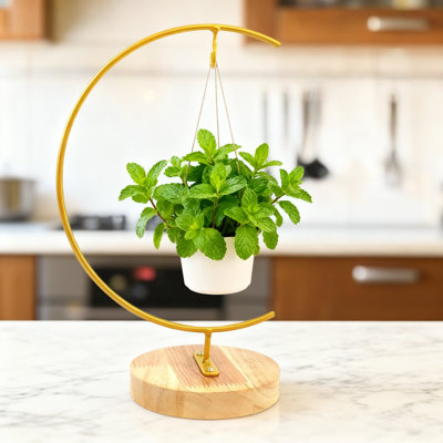 Metal Hanging Plant Stand For Glass Terrariums, Air Plant Holder With Iron Pothook Display For Indoor And Outdoor Decoration
