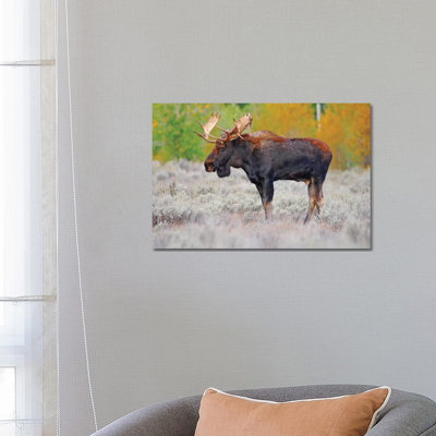 Bull Moose by Brian Wolf - Wrapped Canvas Print