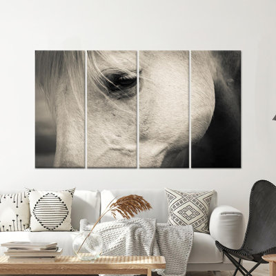 «Elegant White Horse», reproduction d'art sur toile 4P