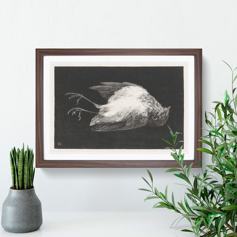 Dead Robin by Theo Van Hoytema - Picture Frame Graphic Art, 36cm H x 48cm W x 2cm D, Walnut Framed