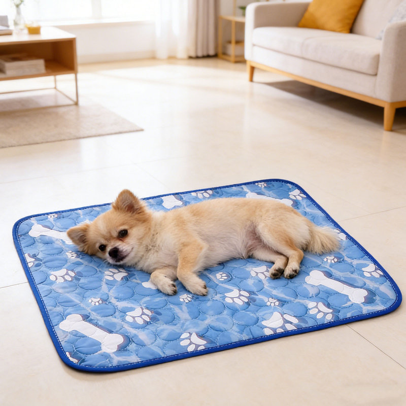Tapis de refroidissement pour animaux Summer Dog, m