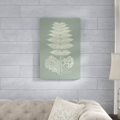 Ferns on Sage V by Vision Studio - Painting Print