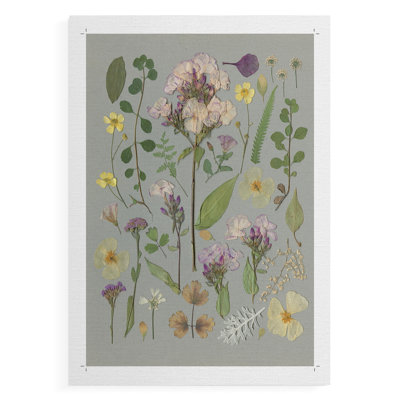 Organic Study I - Impression sur toile seulement - NON-CADRE