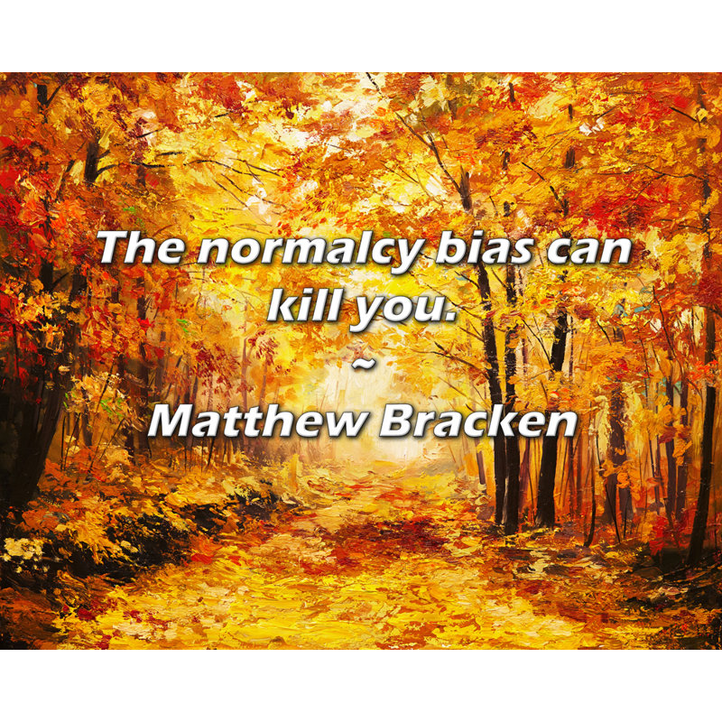 Citation de Matthew Bracken: Le biais de la normalité peut vous tuer., H 20 po x l 24 po