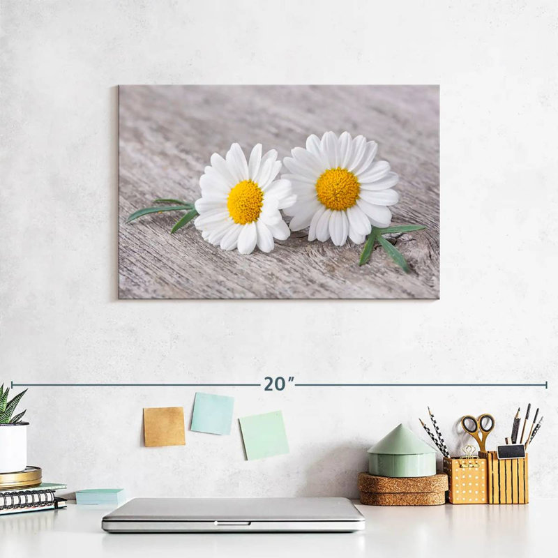 Harnek Two Chamomile Flowers, 8" H x 12" W