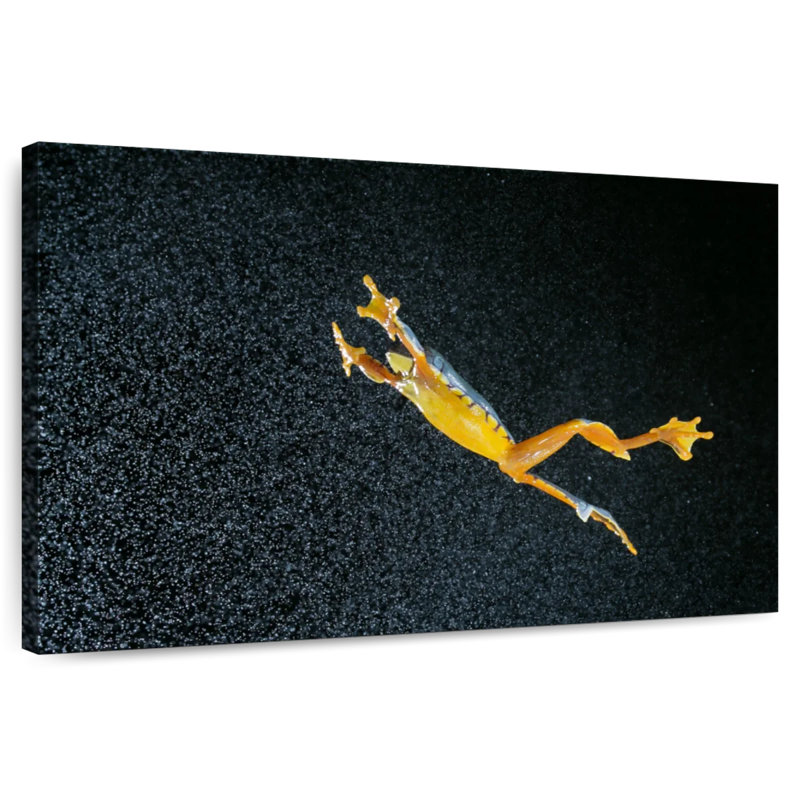Leaping Leaf Frog, 8" H x 12" W