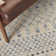 Moritz Ikat Indoor Rug