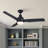 Kamy 52'' Ceiling Fan with LED Lights