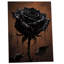 Wrapped Canvas Print-759522838