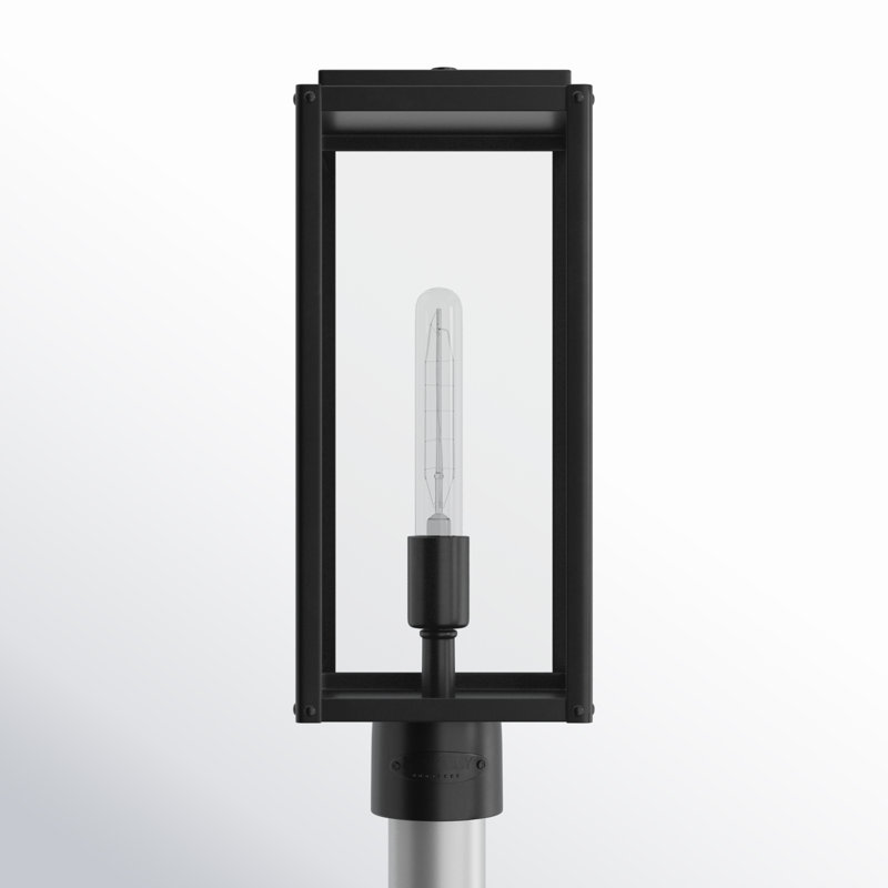 Caliana Transparent Lantern Head, Black, 19.25" H x 8.75" W x 8.75" D