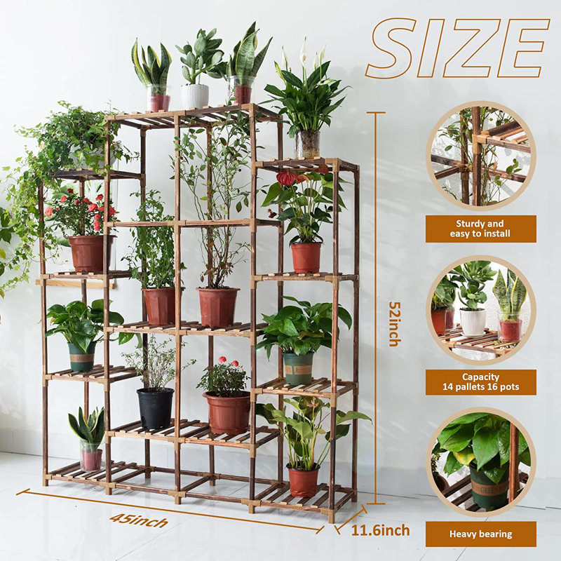 Anorea Plant Support