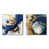 Toile tendue