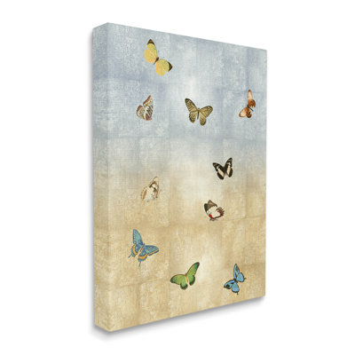 " Various Butterfly Insect Pattern "