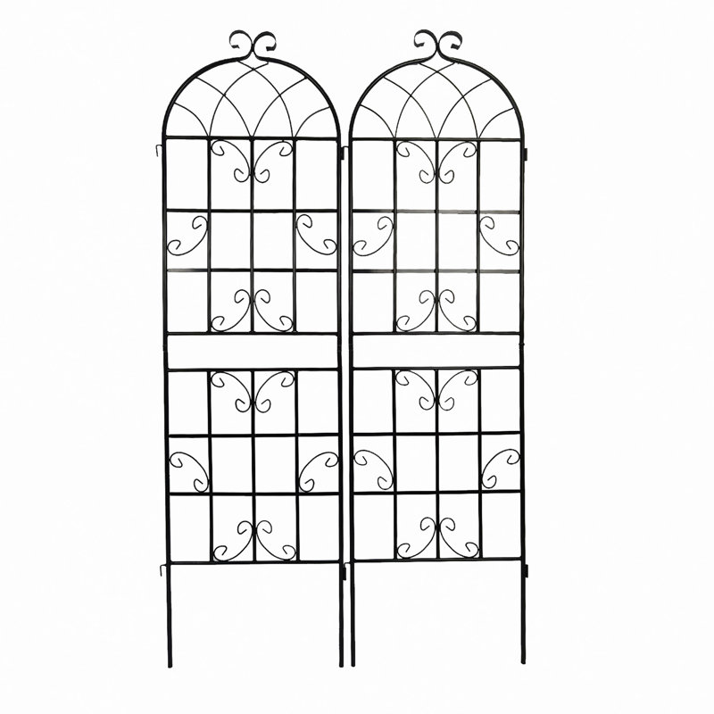 Barrière de jardin, paquet de 2 treillis de jardin en métal antirouille pour plantes grimpantes, Noir