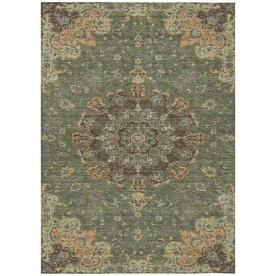 Machine Washable Indoor/Outdoor Chantille ACN2489 Global Rug