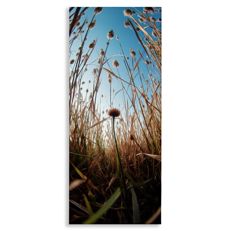 «Daydream Botanical Meadow», conception par Decent Exposures, H 24 po x l 10 po