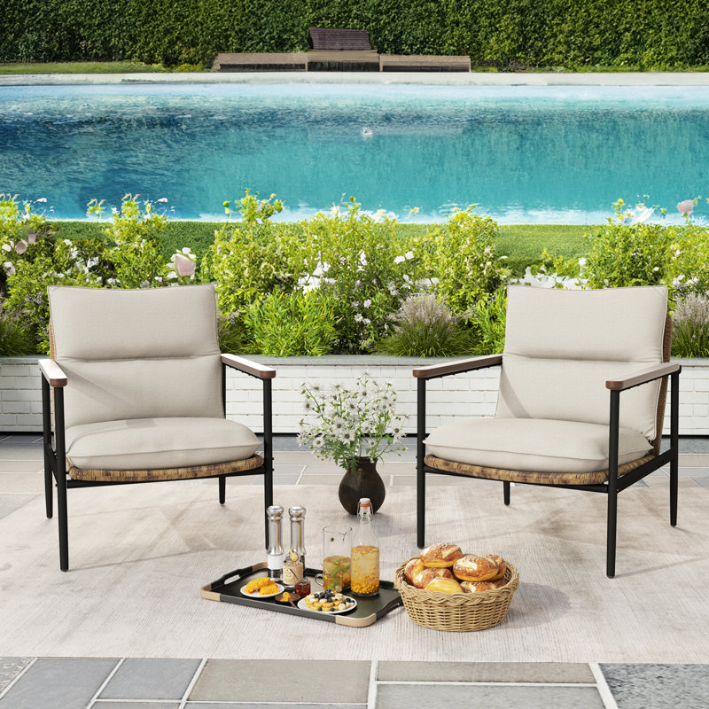Darrel Aluminum Wicker Outdoor Lounge Chairs (Set of 2)