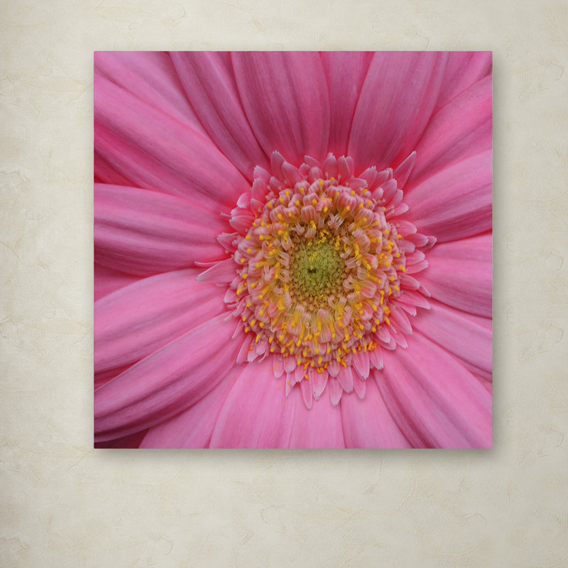 Kurt Shaffer - Print on Canvas, 14" H x 14" W x 2" D