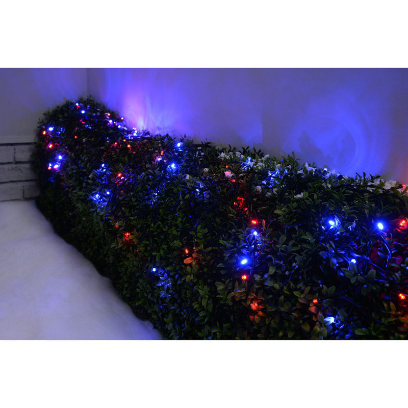 13.49cm Indoor / Outdoor String Lights