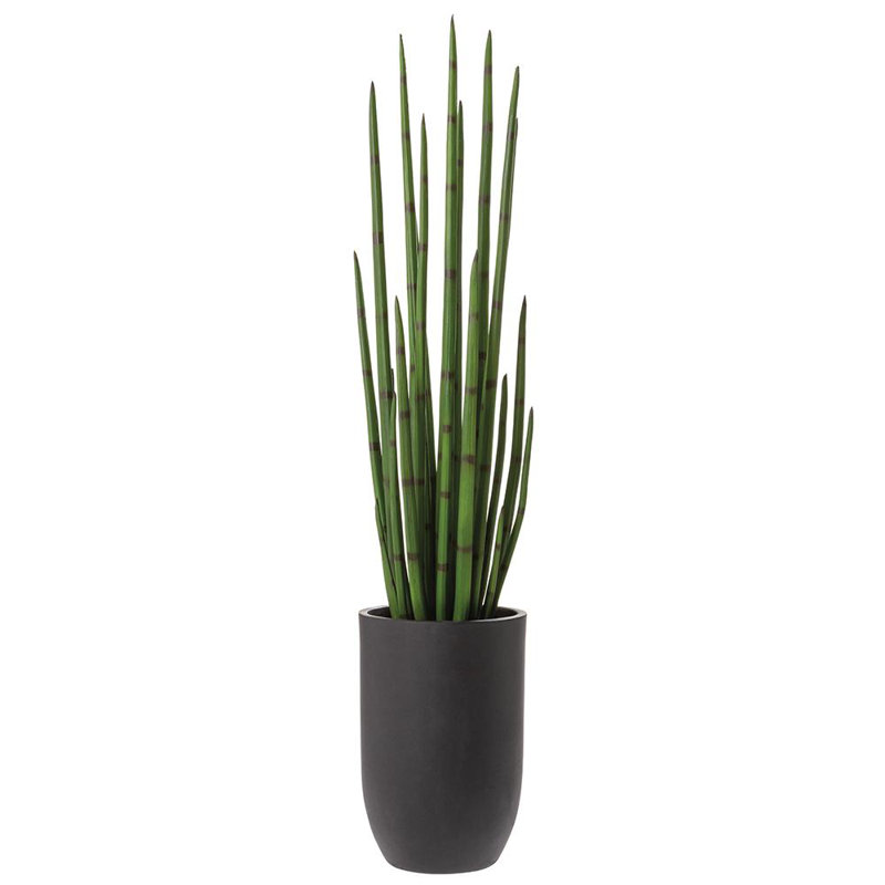 Faux Snake Grass Grass