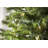 606'' String Lights-31889552