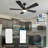 Amonnie 52'' Ceiling Fan with LED Lights-1365979910