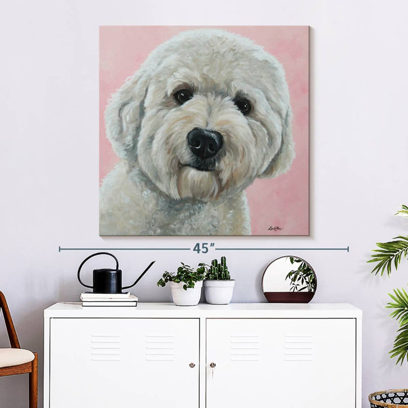 Crowle Labradoodle Hank sur fond rose, H 33 po x l 33 po