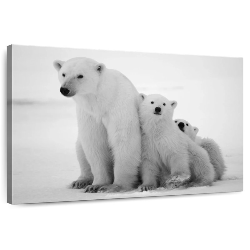 Famille d'ours polaires Brampt, H 26 po x l 39 po