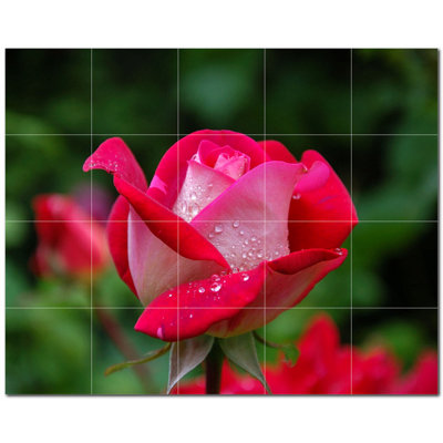 Picture-Tiles.com PT500647-54XL