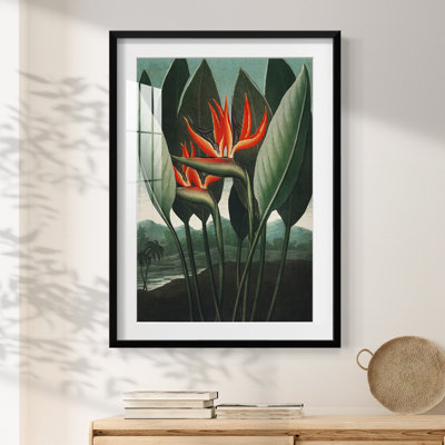 Angeville -Gallery Wrapped Canvas