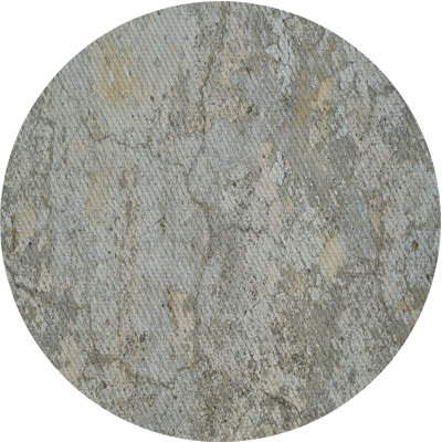 Indoor Rug