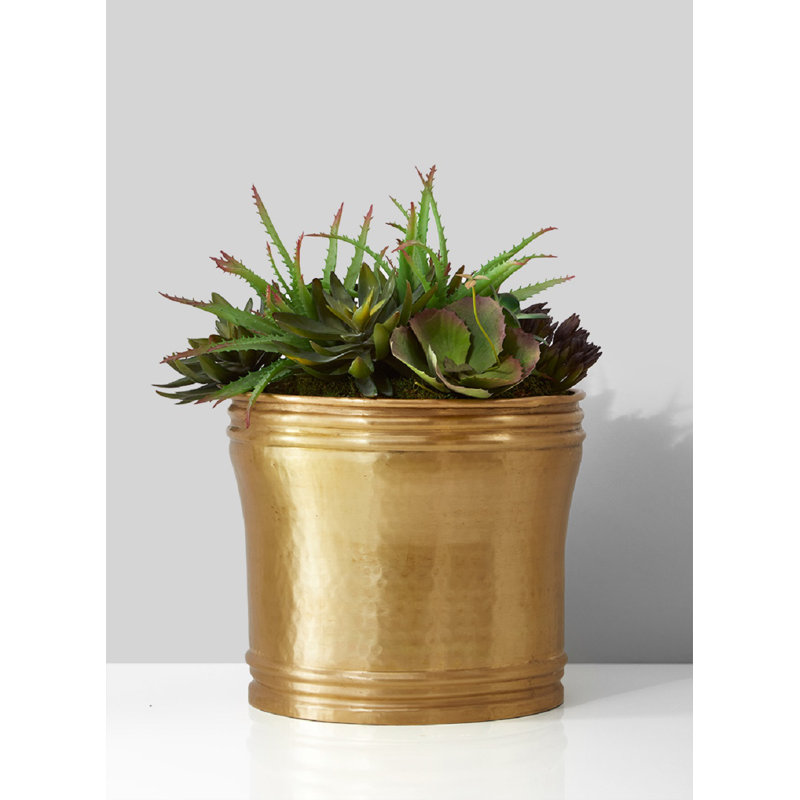 Pot de fleurs en laiton Hatchett, 10,5 po x 12 po x 12 po
