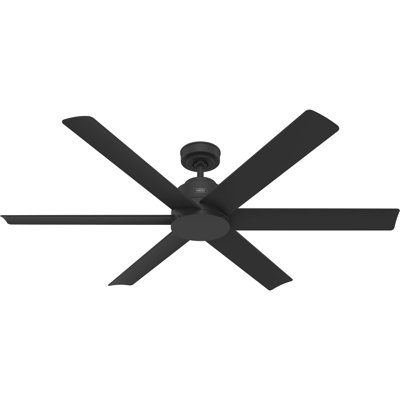 Hunter 60 inch Kennicott ENERGY STAR® Damp Rated Ceiling Fan and Handheld Remote