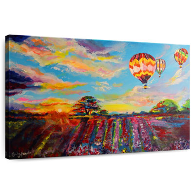 Mehar Balloon Skies