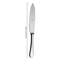 Stainless Steel Serving Spoon