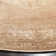 Evanoff Taupe Area Rug
