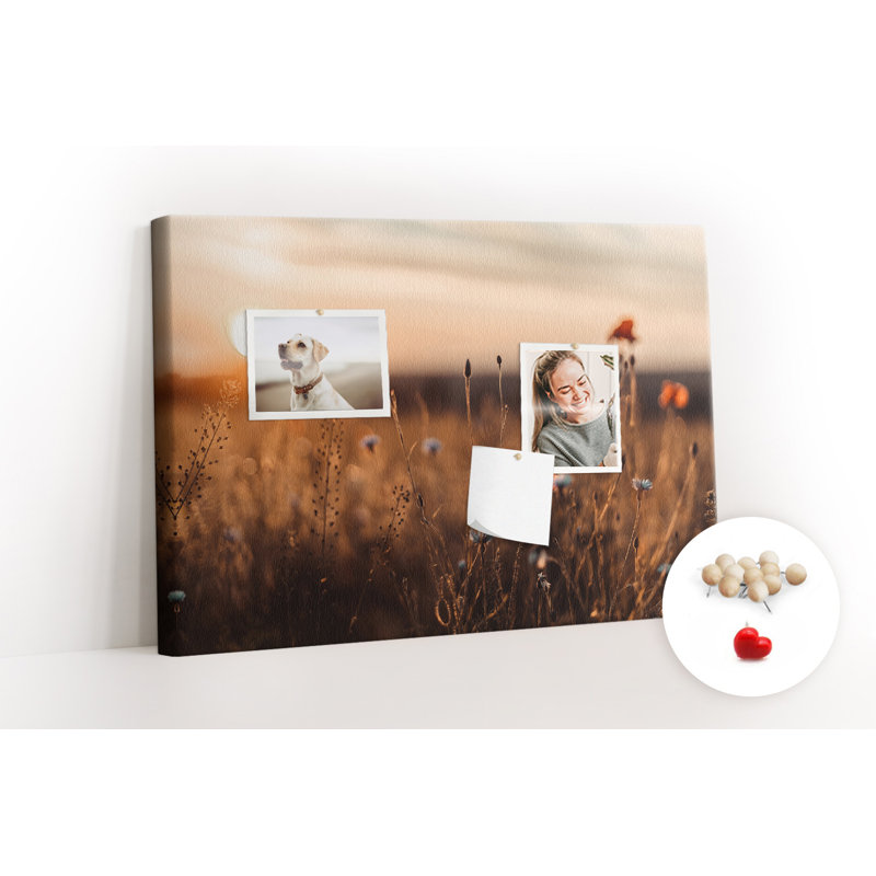 Wall Mounted cork board with print wall art notice boards decorative bulletin board ideas Field sunrise