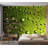 No Pattern And Not Solid Color Wall Mural-1479312396