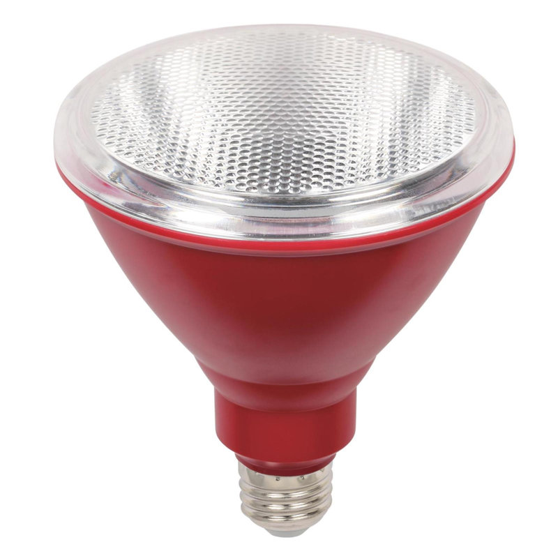 15 watts (100 watts équivalents), DEL PAR38, ampoule, culot E26 / moyen (standard)