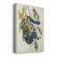 Pl 87 Florida Jay - impression sur toile tendue-2071312478