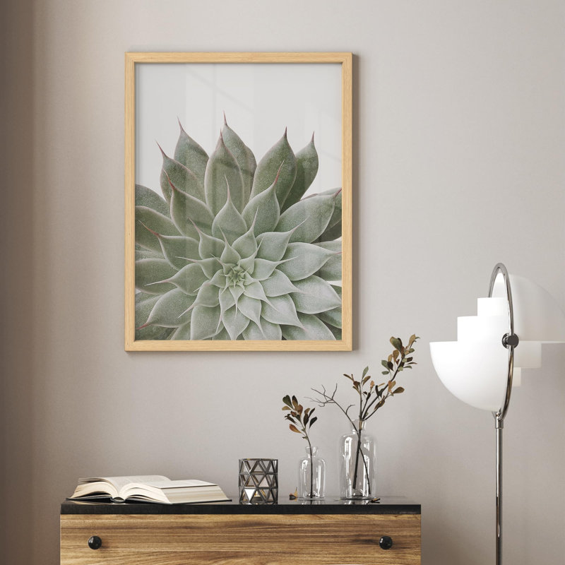 «Lush Green Succulent Botanical Nature Illustration Small Decor Art Work», H 14 po x l 11 po, Naturel